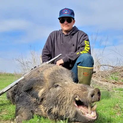 Half-Day Guided Hog Hunt