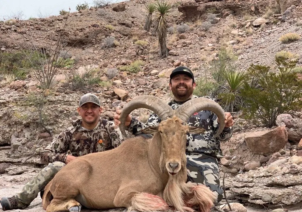 5 Day DIY Trophy Aoudad Hunt