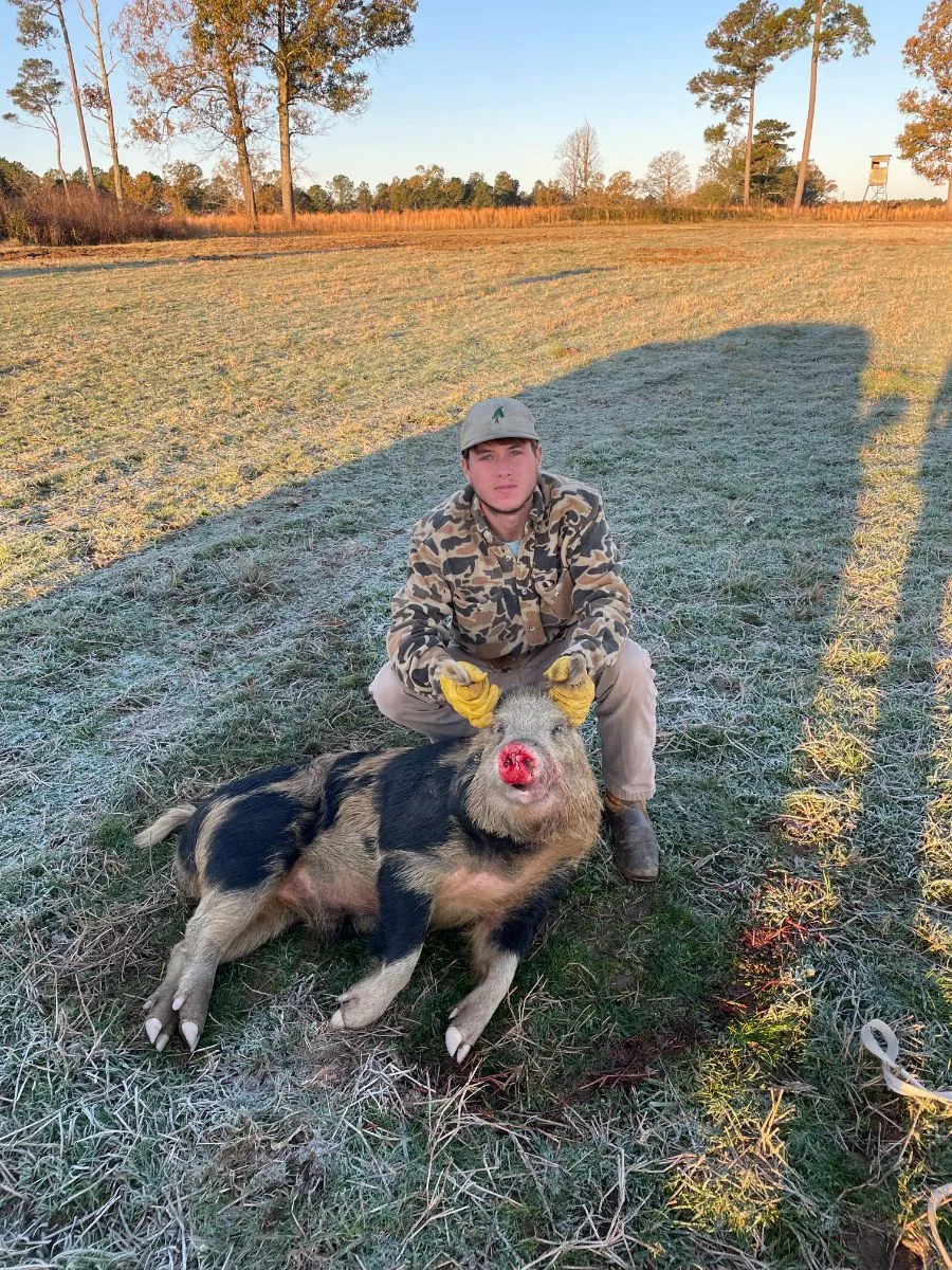 Deep South Pigs