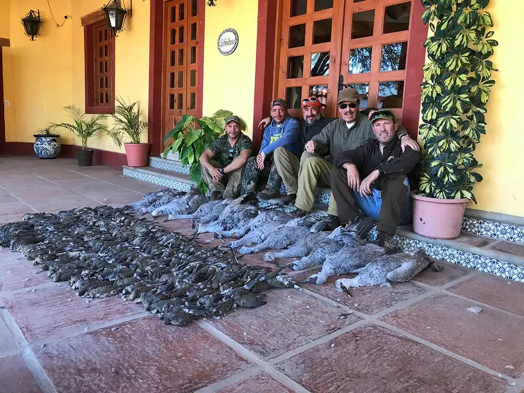 Sierra Madre Wingshooting