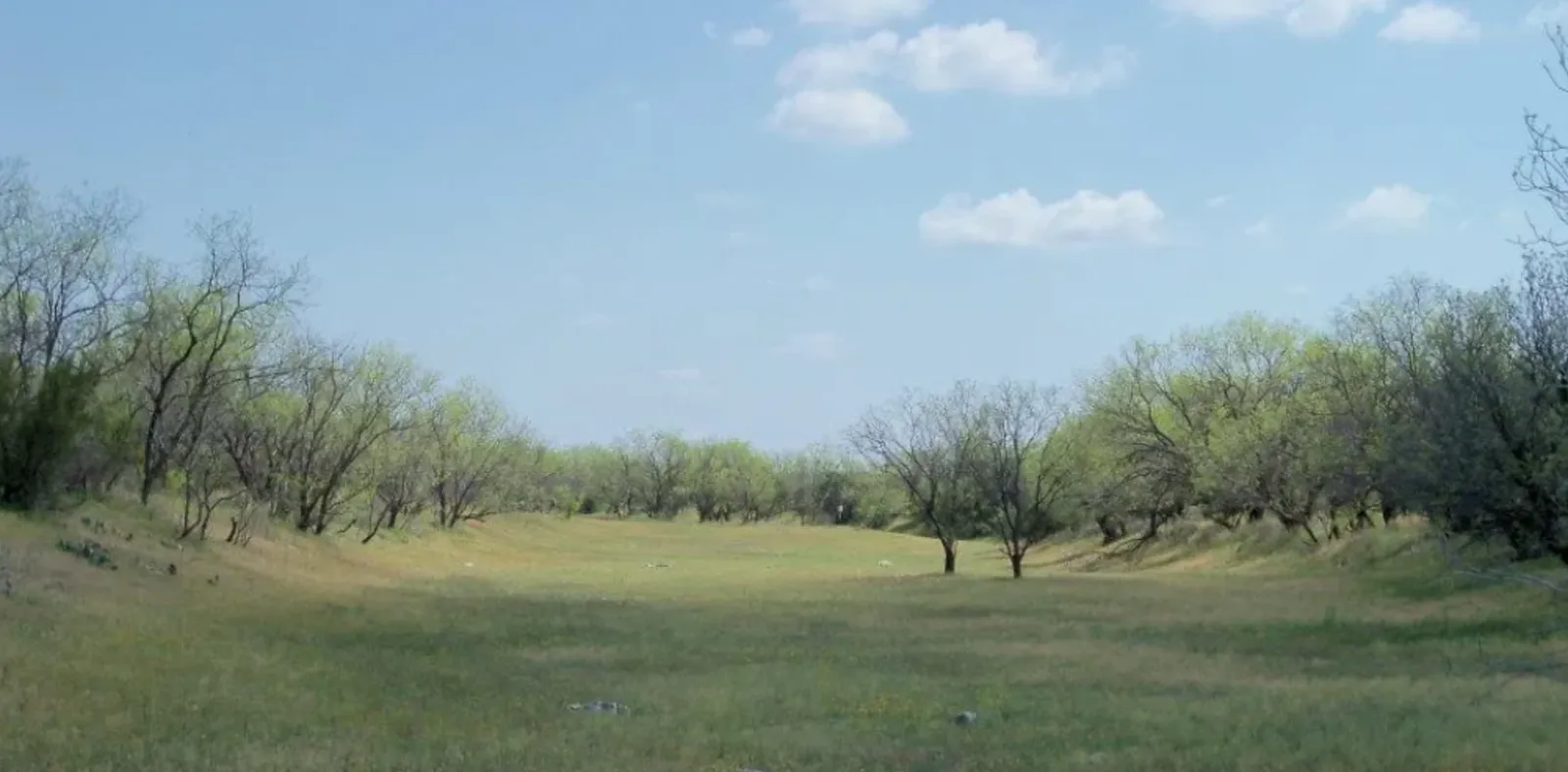 Dove Hunt