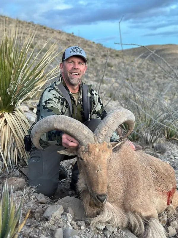 Limited-Time Aoudad Hunt