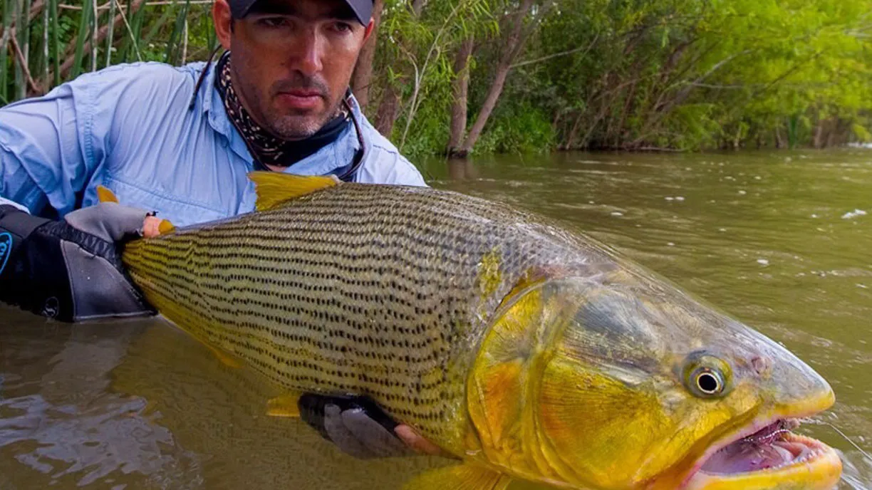 Rio Bravo Mixed Bag Experience