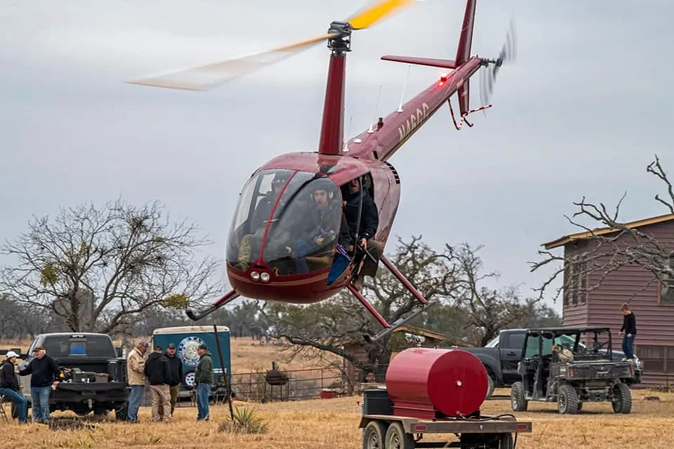4-Hour Helicopter Hog Hunt